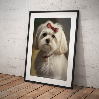 »Maltese med rosett«