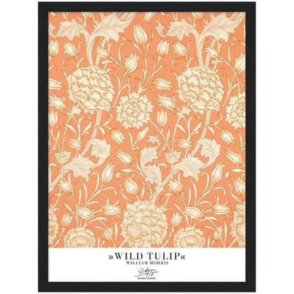 »Wild Tulip«