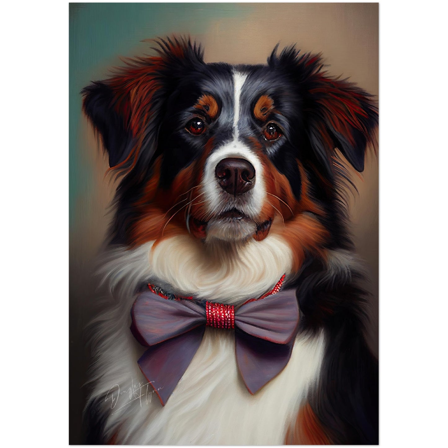 »Australian Shepherd med rosett«