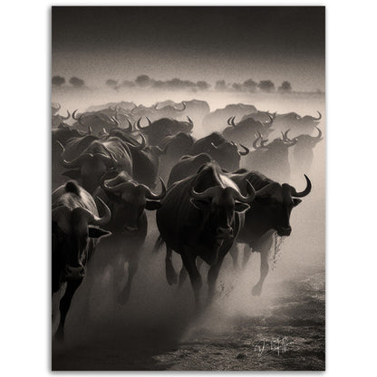 »Thundering Hooves« poster