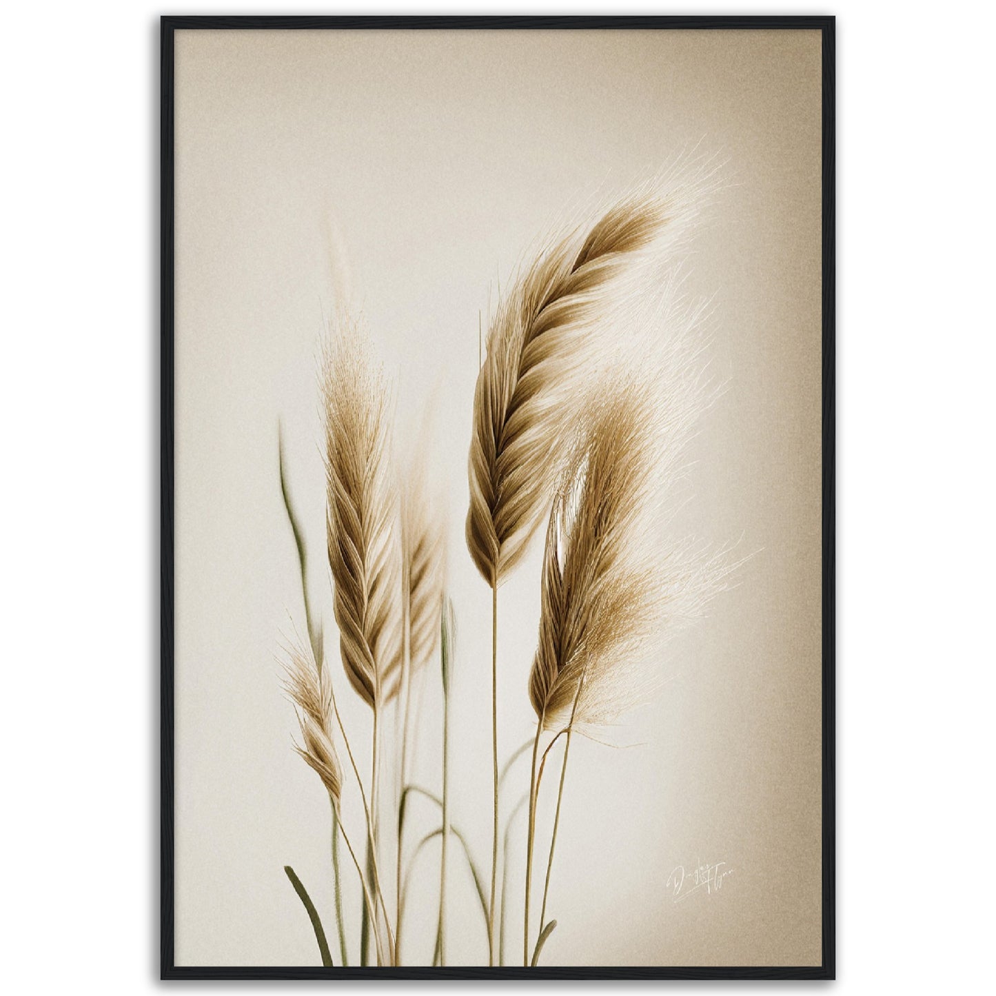 »Grass« designposter