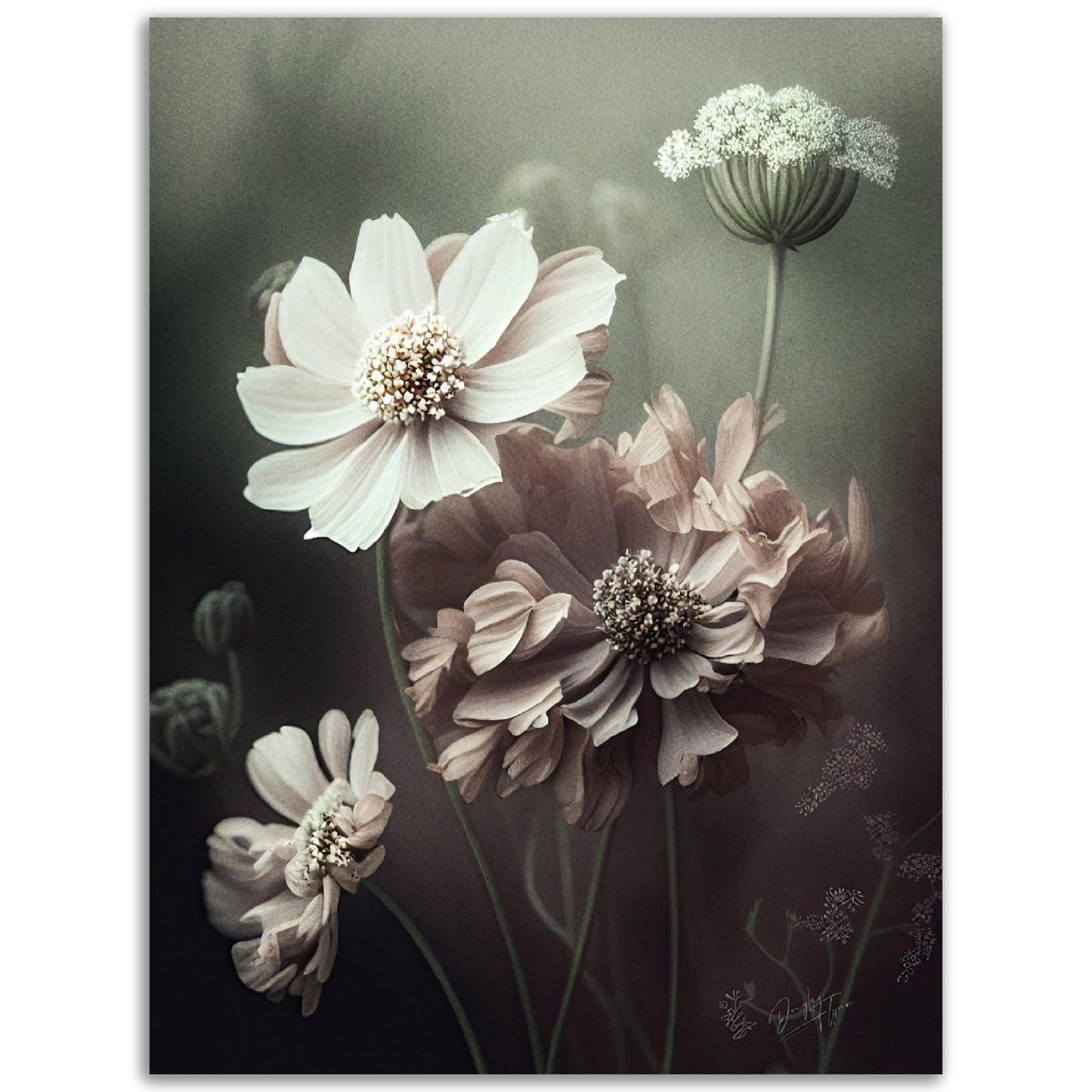 »White Petals« designposter