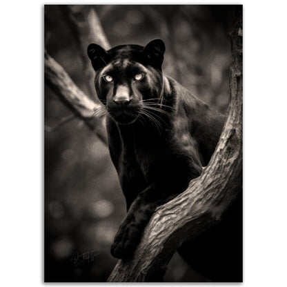 »Graceful and Stealthy« poster