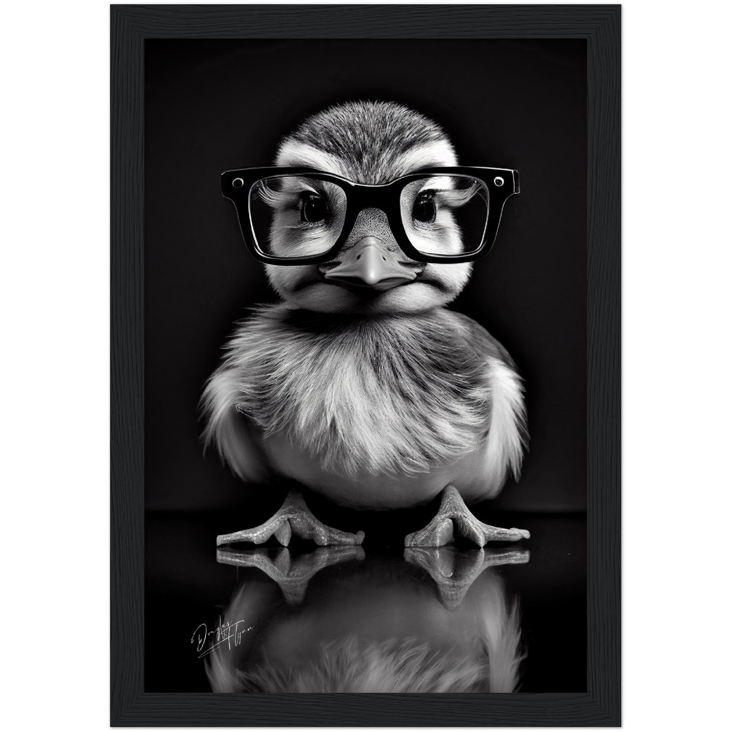»Wise Quacker« retro poster