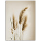 »Grass« designposter