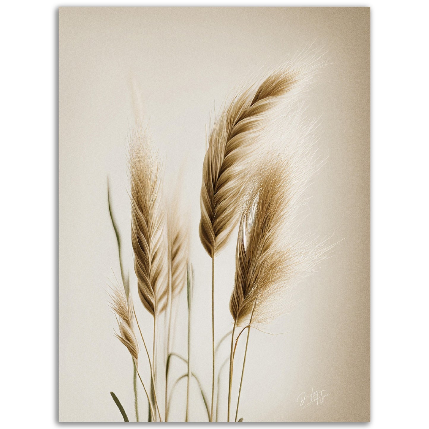 »Grass« designposter