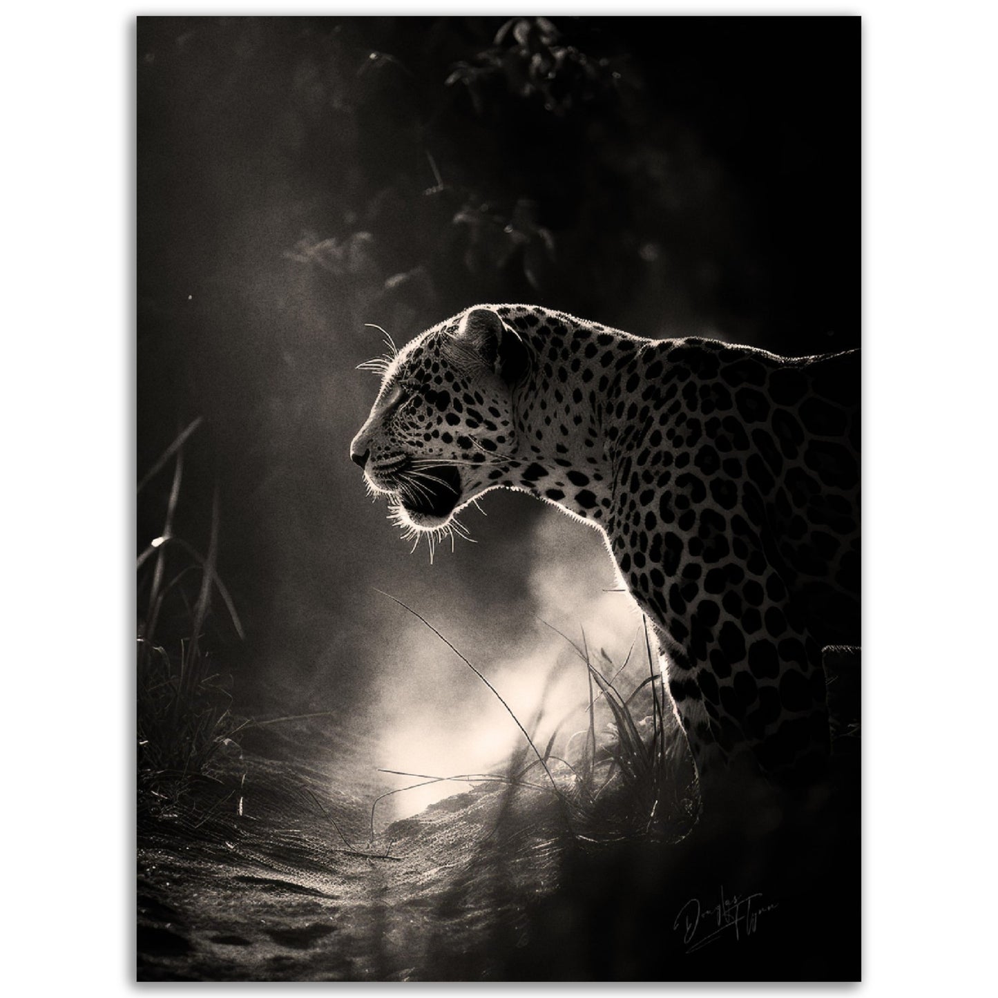 »Stealthy Predator« poster