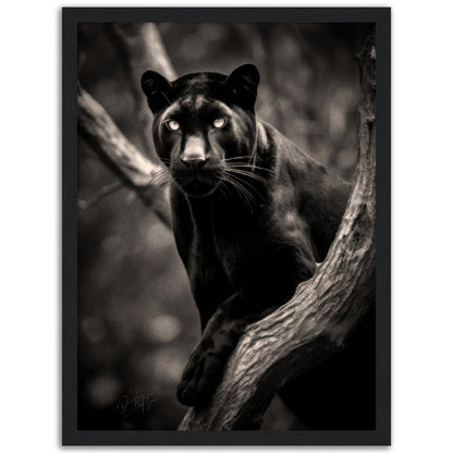 »Graceful and Stealthy« poster