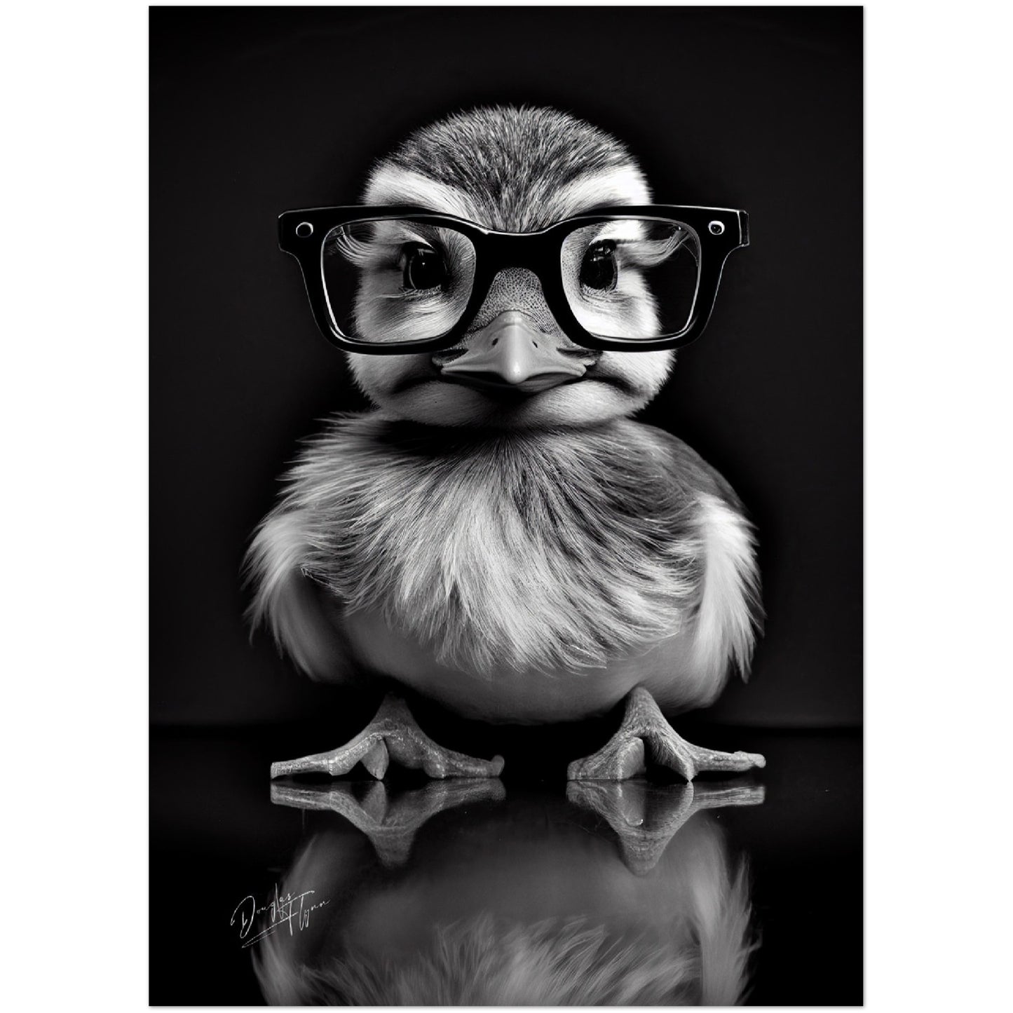 »Wise Quacker« retro poster