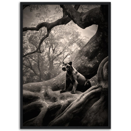 »A Rare Glimpse« poster
