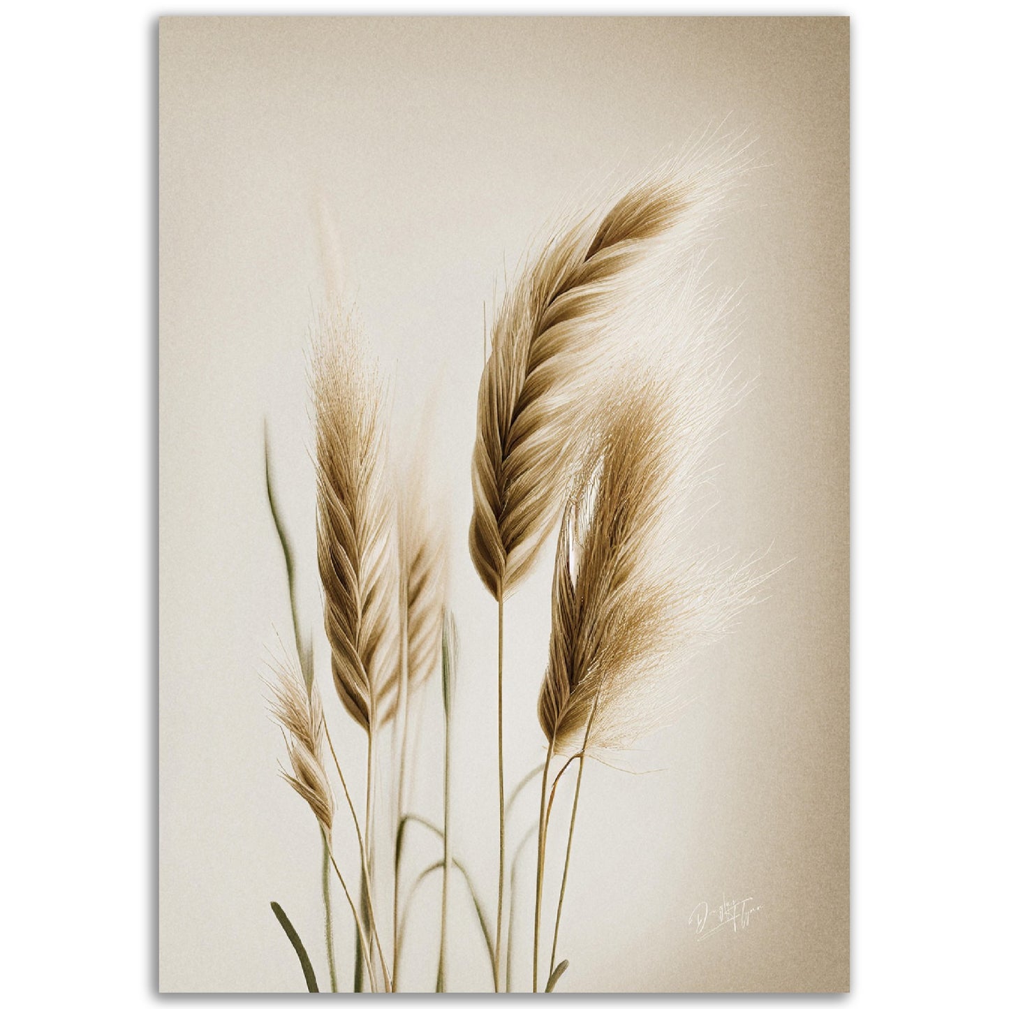 »Grass« designposter
