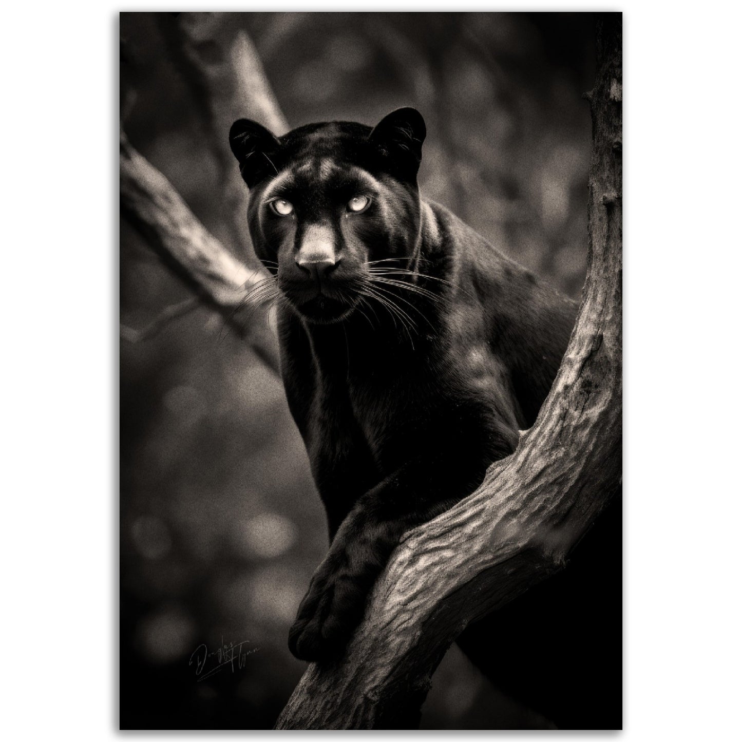 »Graceful and Stealthy« poster