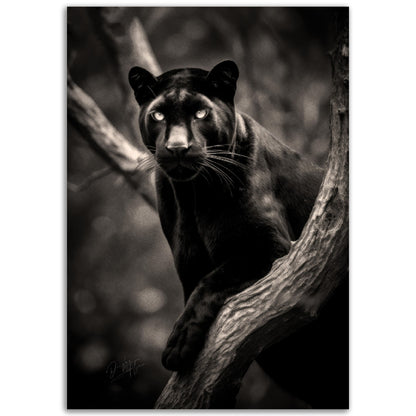 »Graceful and Stealthy« poster