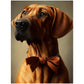 »Rhodesian Ridgeback med rosett«