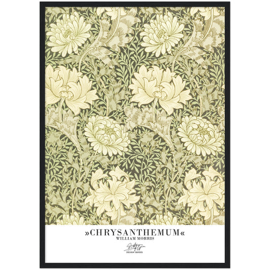 »Chrysanthemum«
