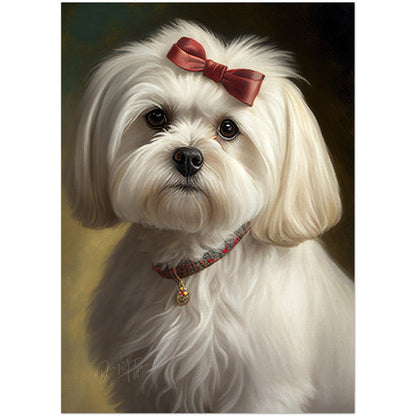 »Maltese med rosett«