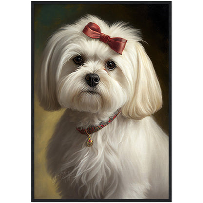 »Maltese med rosett«