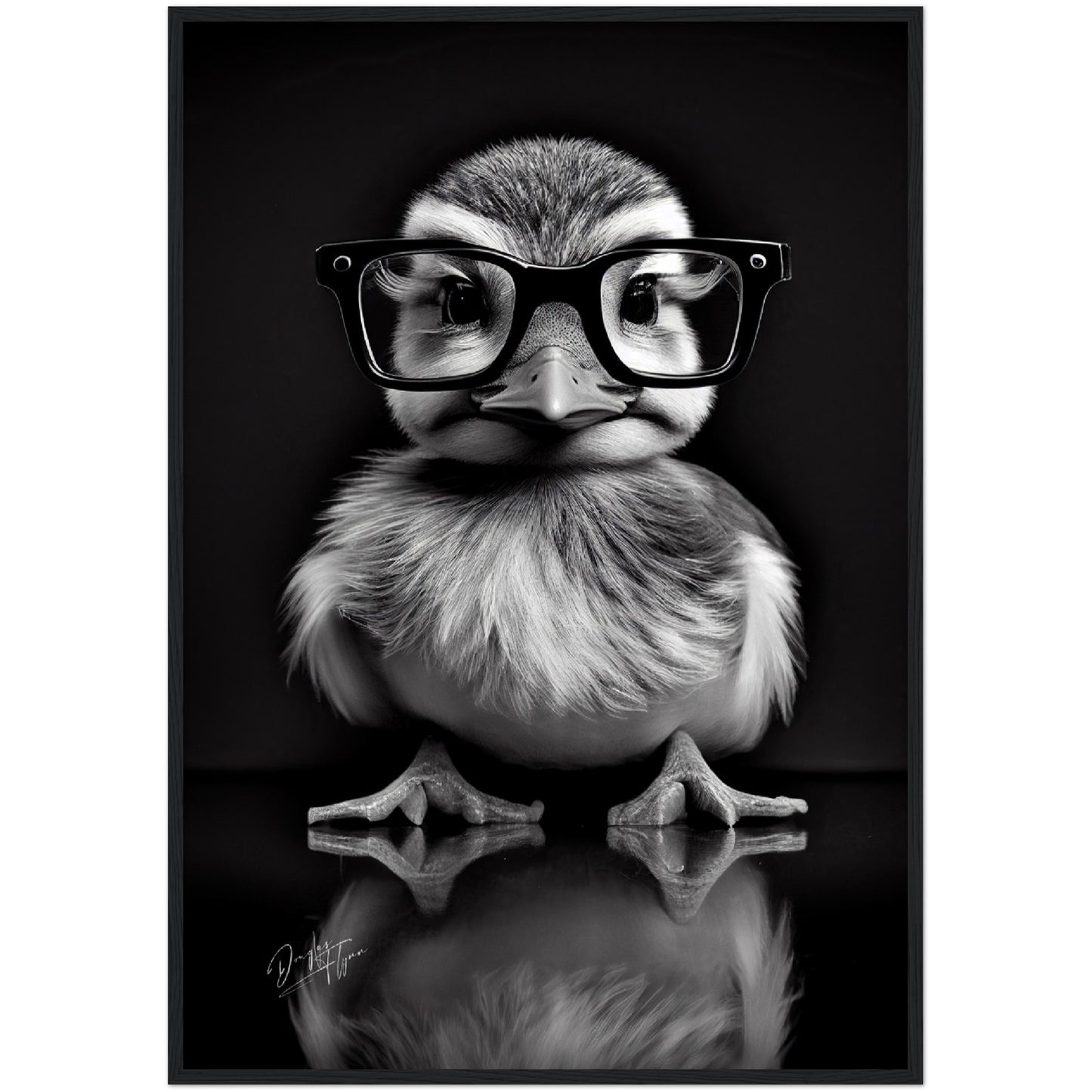 »Wise Quacker« retro poster