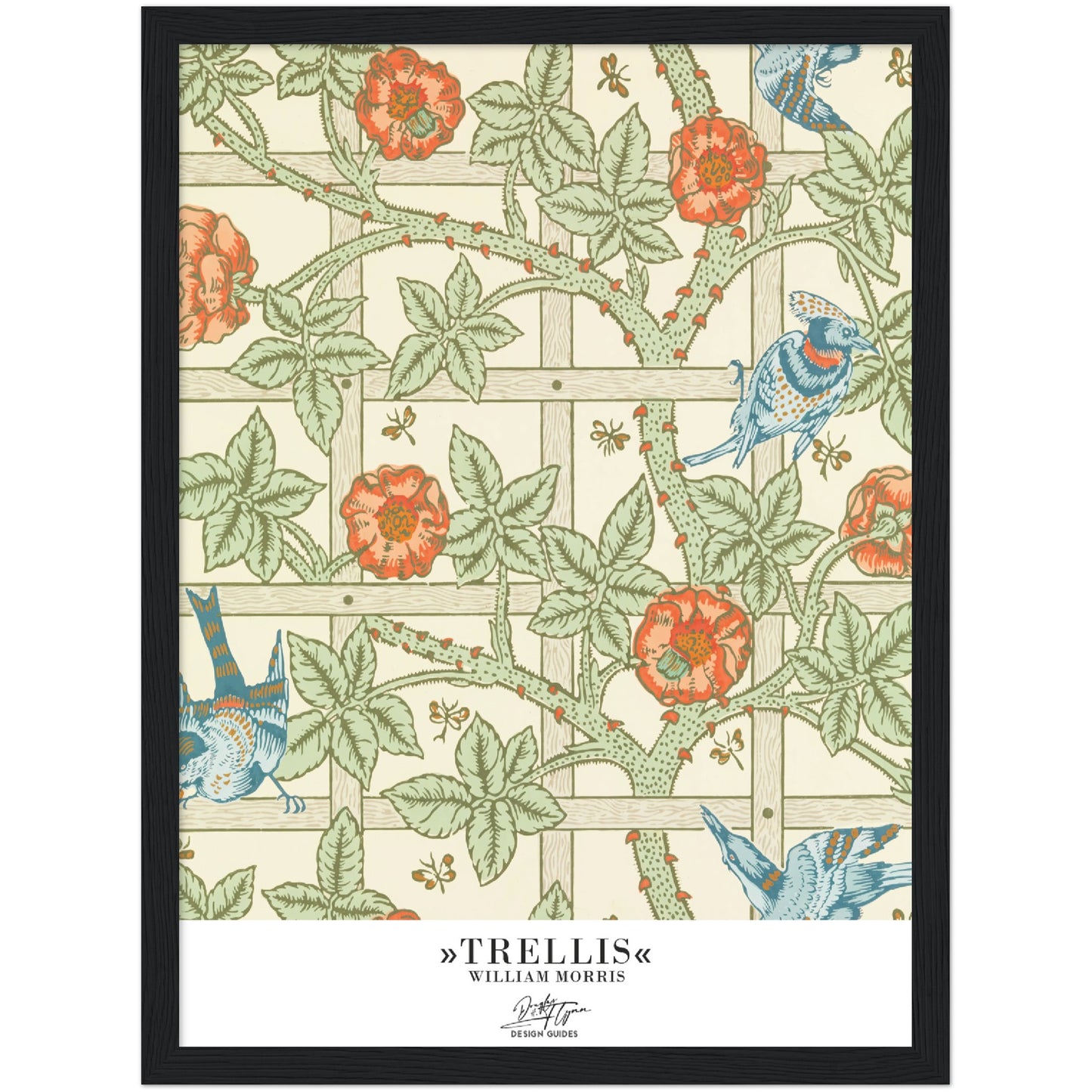 »Trellis«