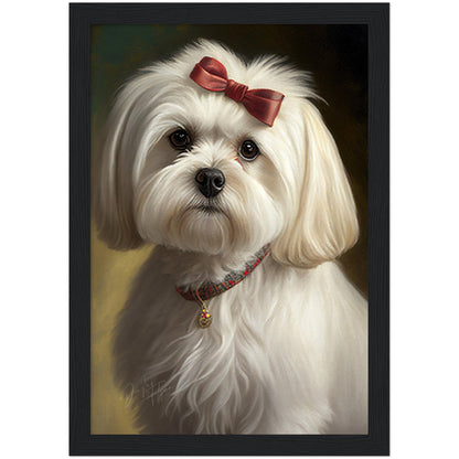 »Maltese med rosett«