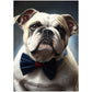 »Bulldog med rosett«