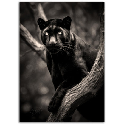 »Graceful and Stealthy« poster