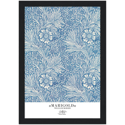 »Marigold«