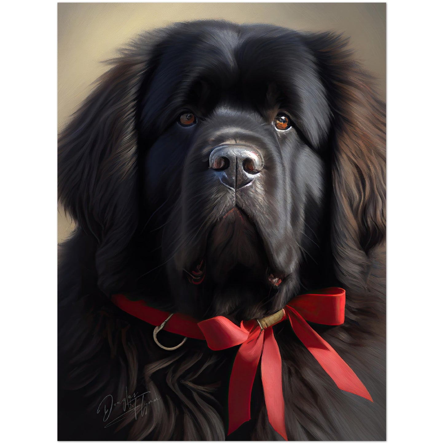 »Newfoundland med rosett«