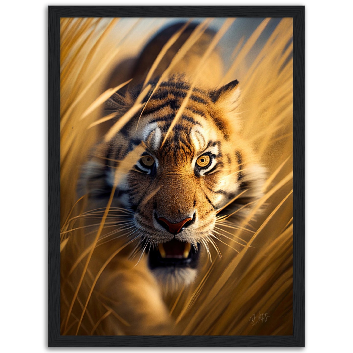 »Safari Sightings«