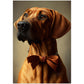 »Rhodesian Ridgeback med rosett«
