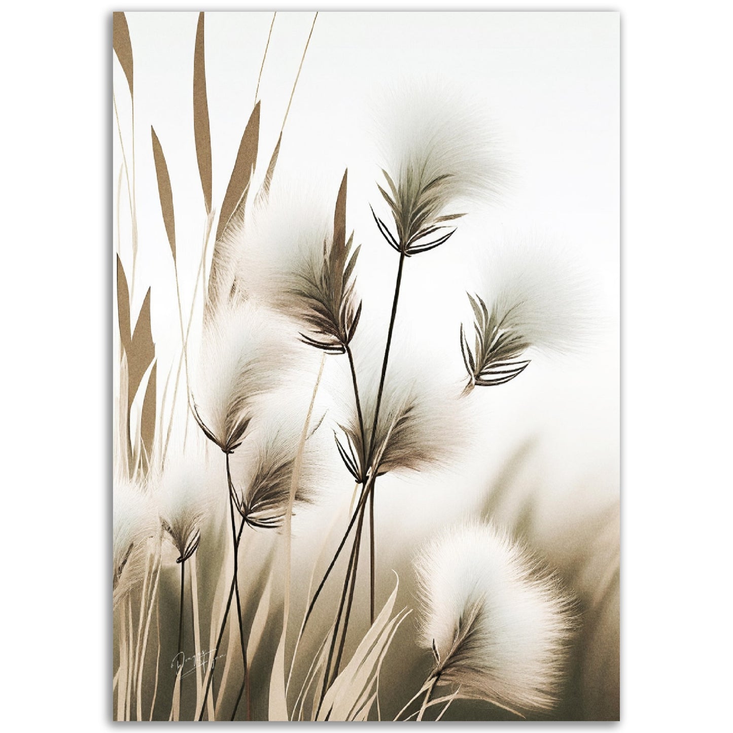 »Cutton Grass« designposter