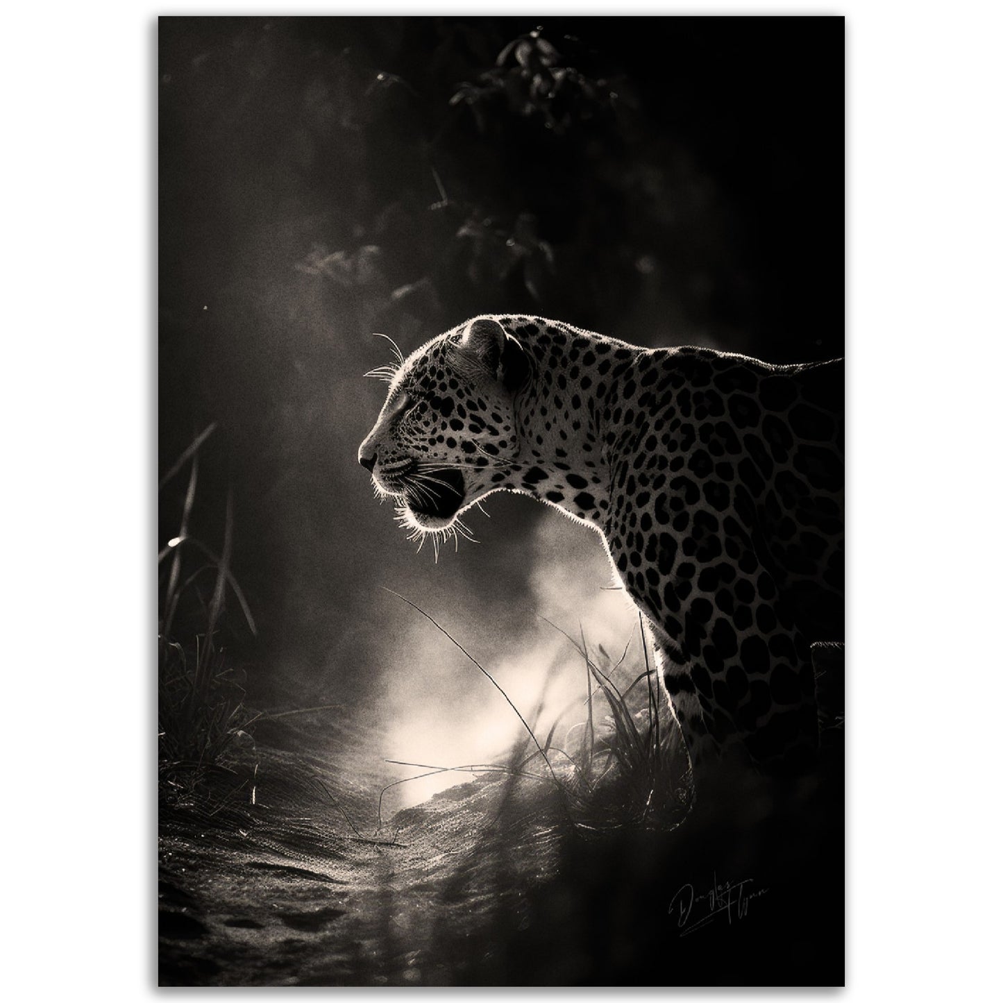 »Stealthy Predator« poster