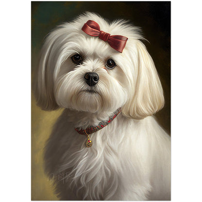 »Maltese med rosett«