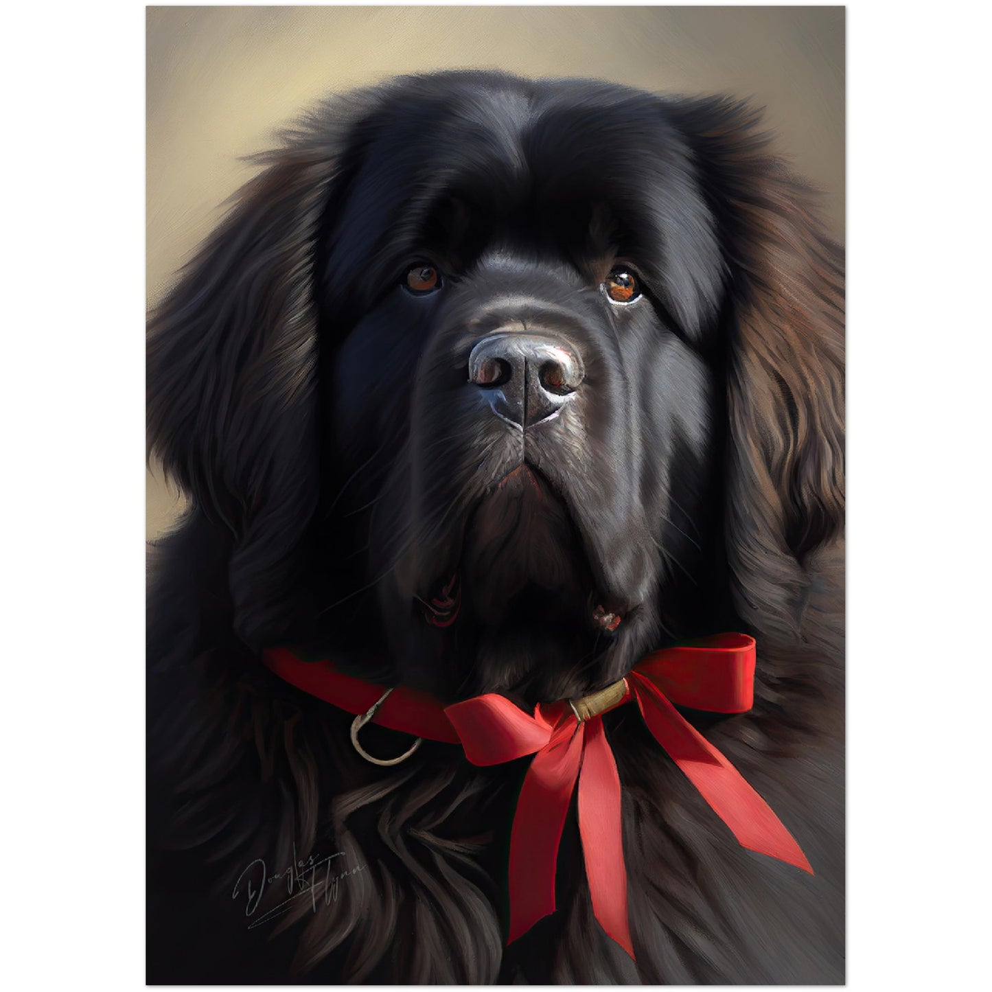 »Newfoundland med rosett«
