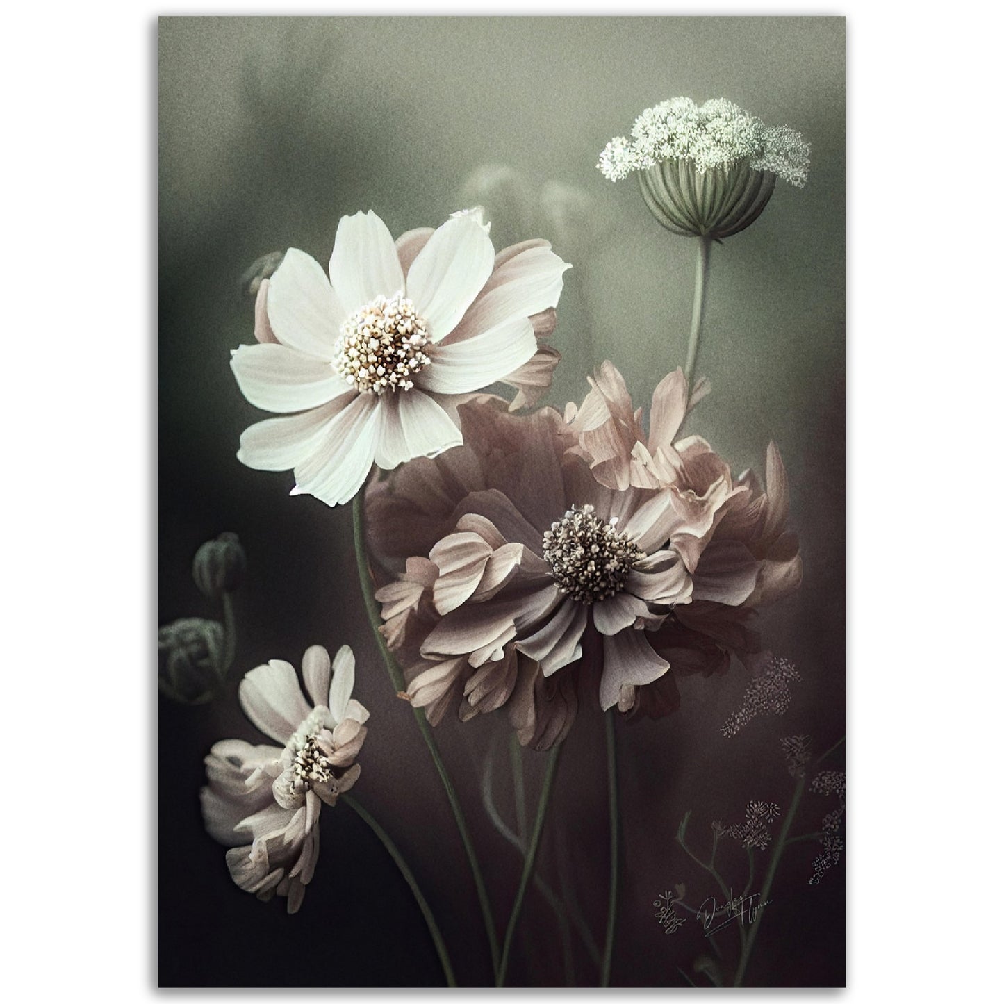»White Petals« designposter