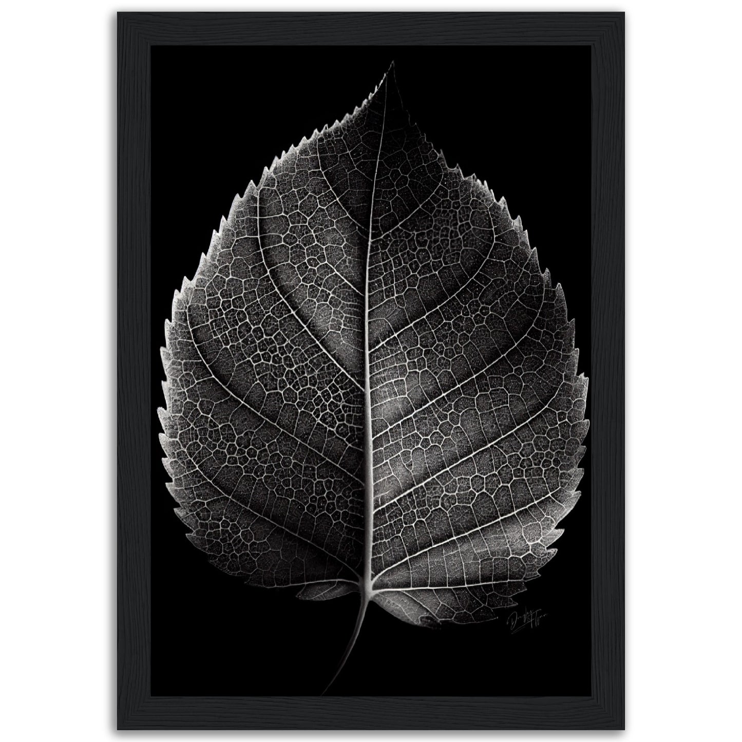»Contrasting leaf Lines« poster