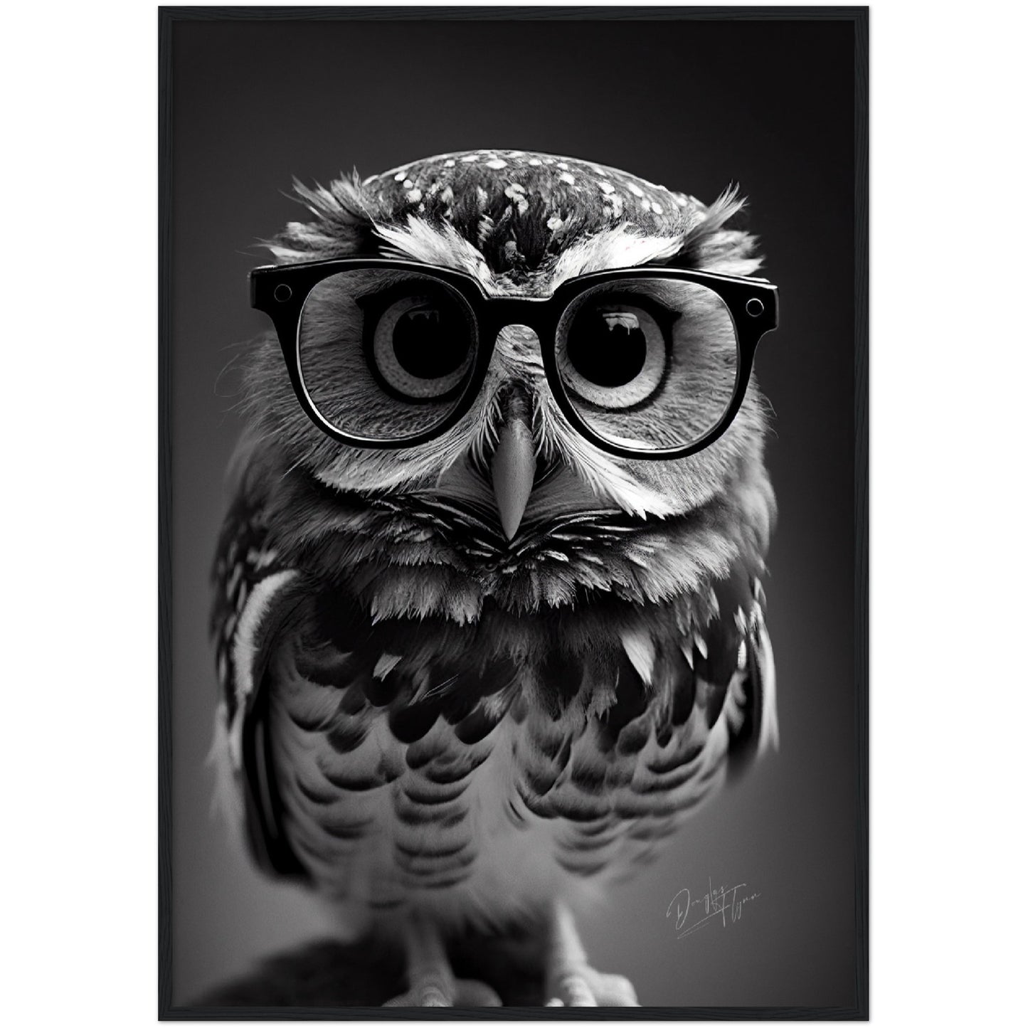 »Professor Hoots« retro poster