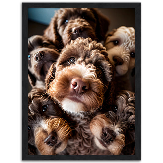 »Furry Frames«