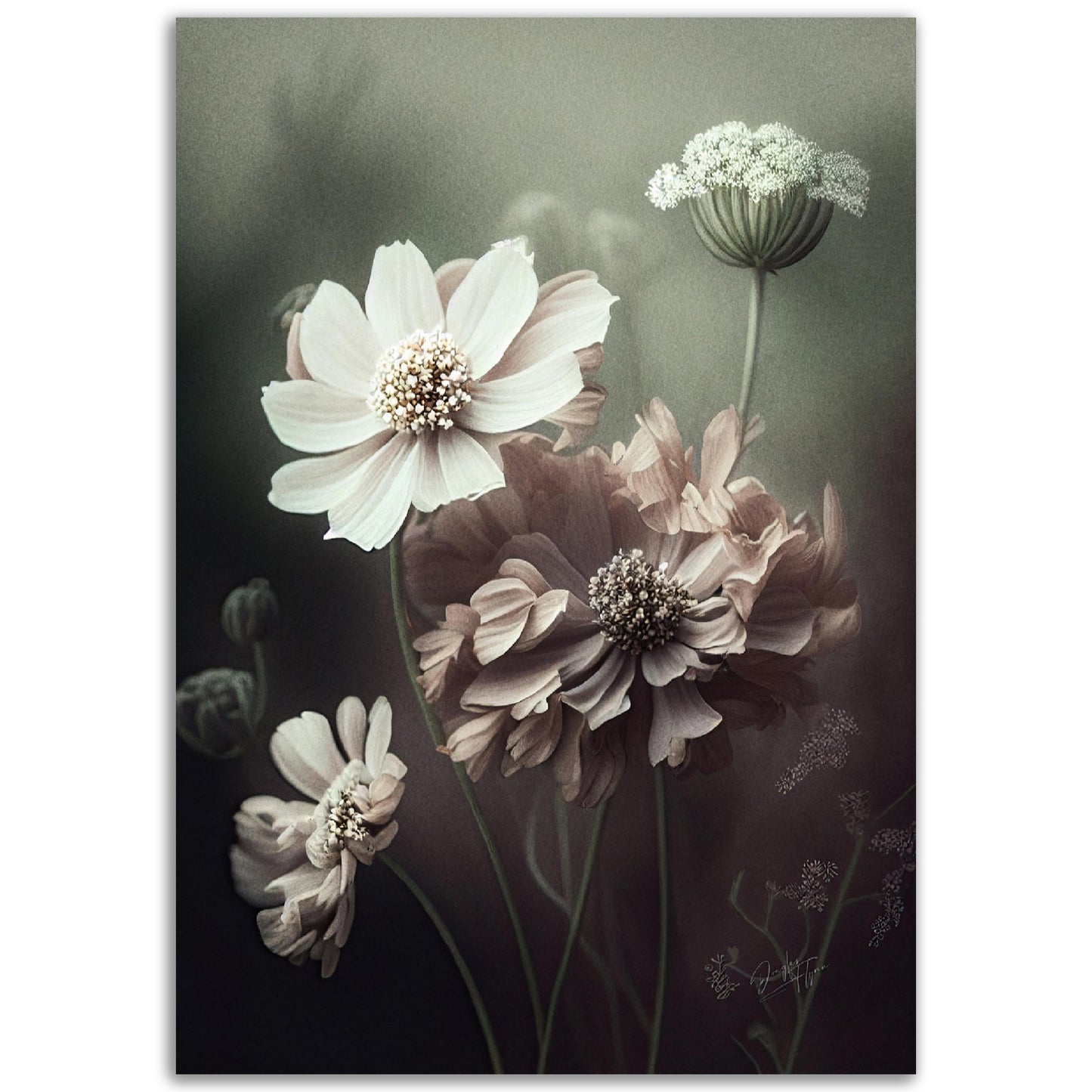 »White Petals« designposter
