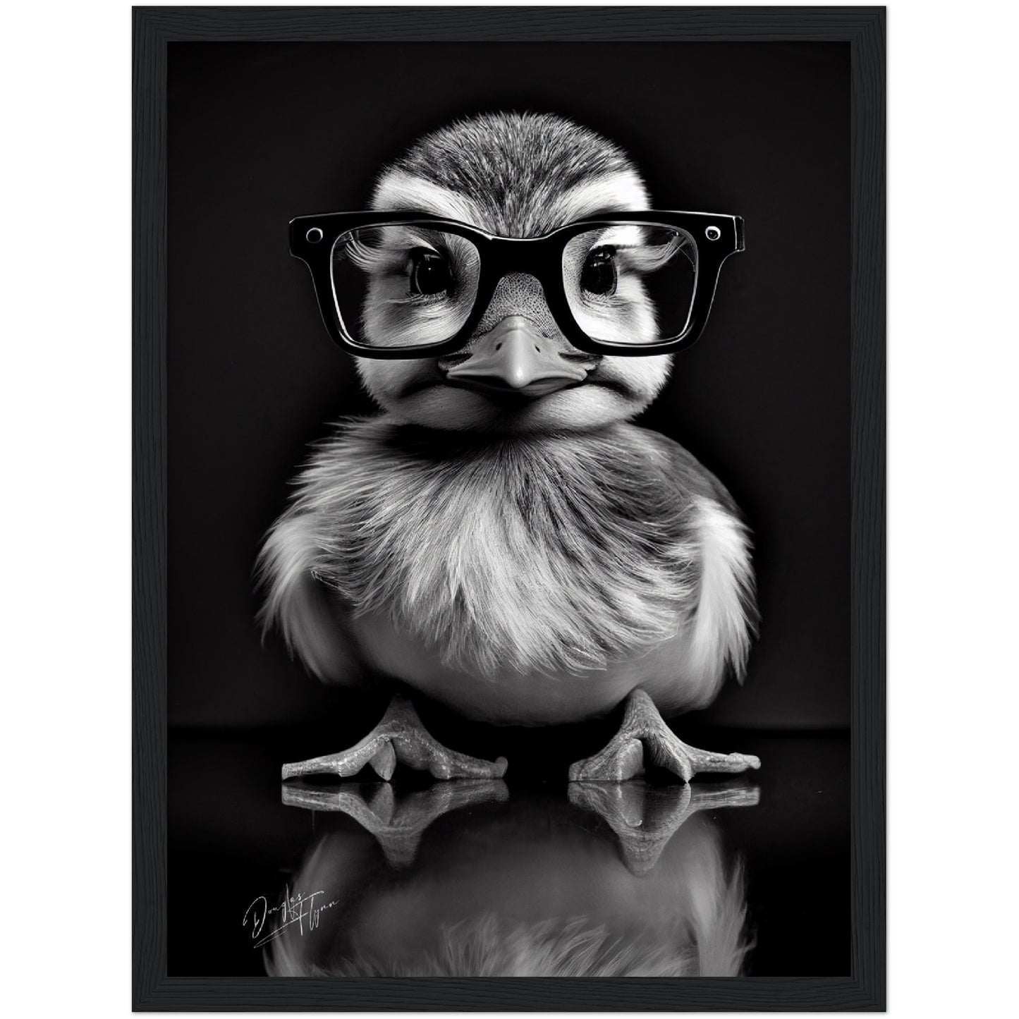 »Wise Quacker« retro poster
