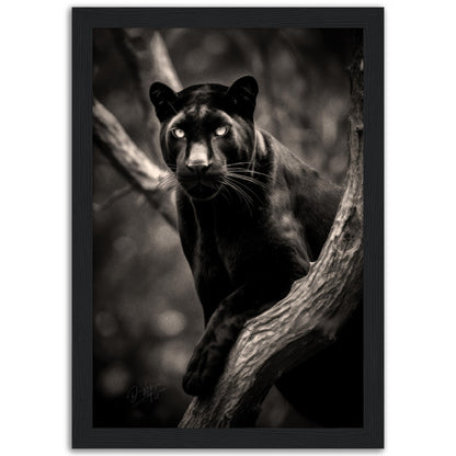»Graceful and Stealthy« poster