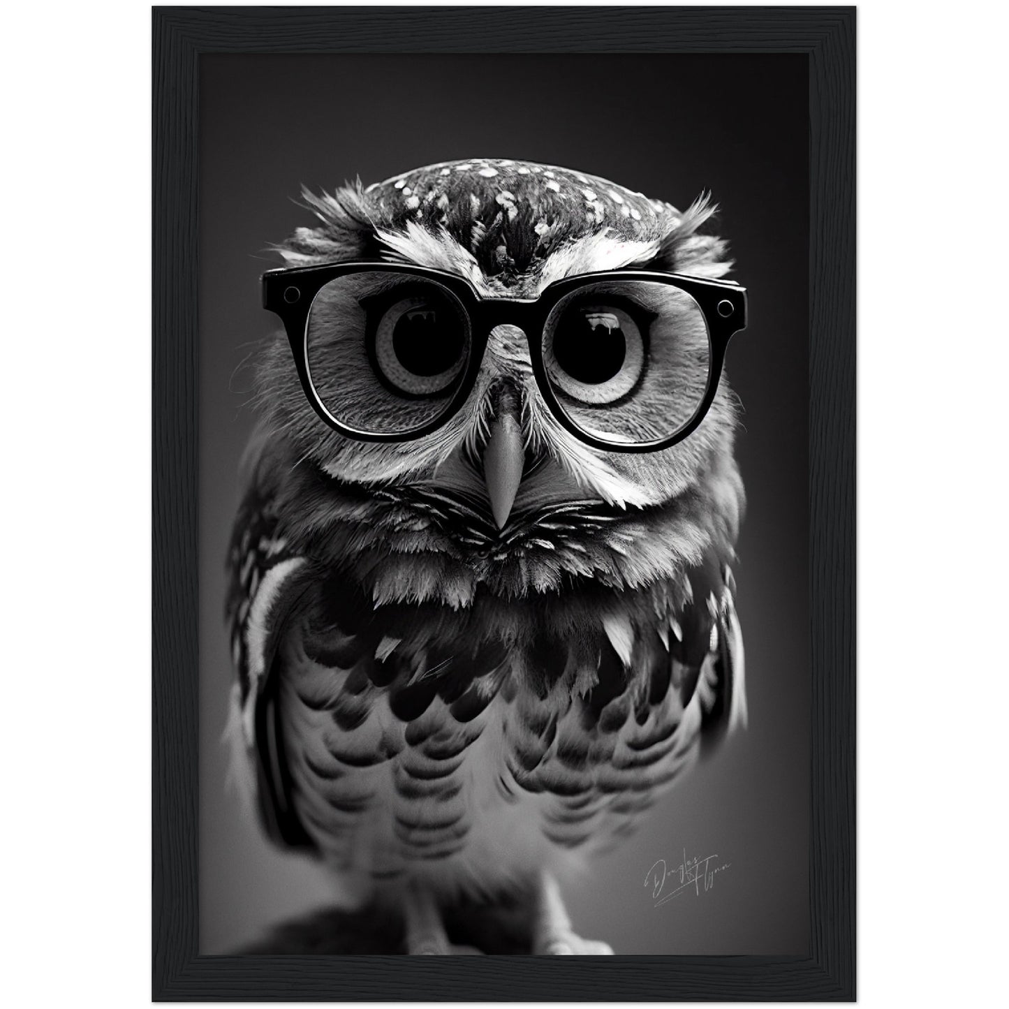 »Professor Hoots« retro poster