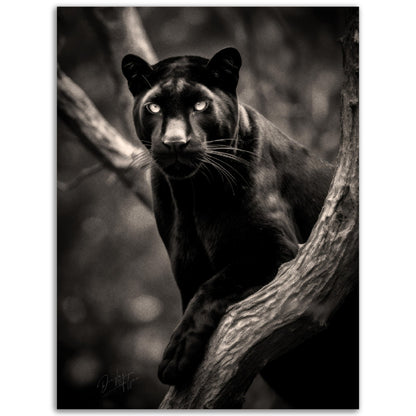 »Graceful and Stealthy« poster