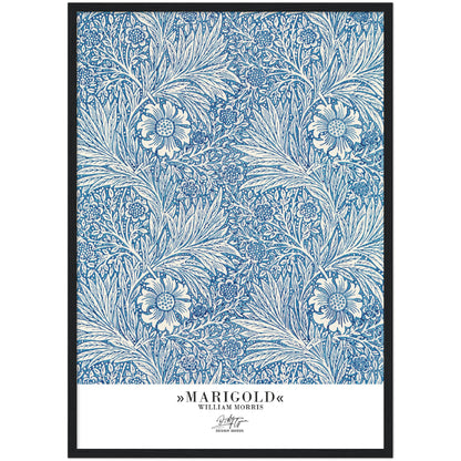 »Marigold«