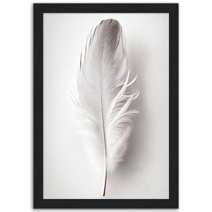 »Found a White Feather no 2« designposter