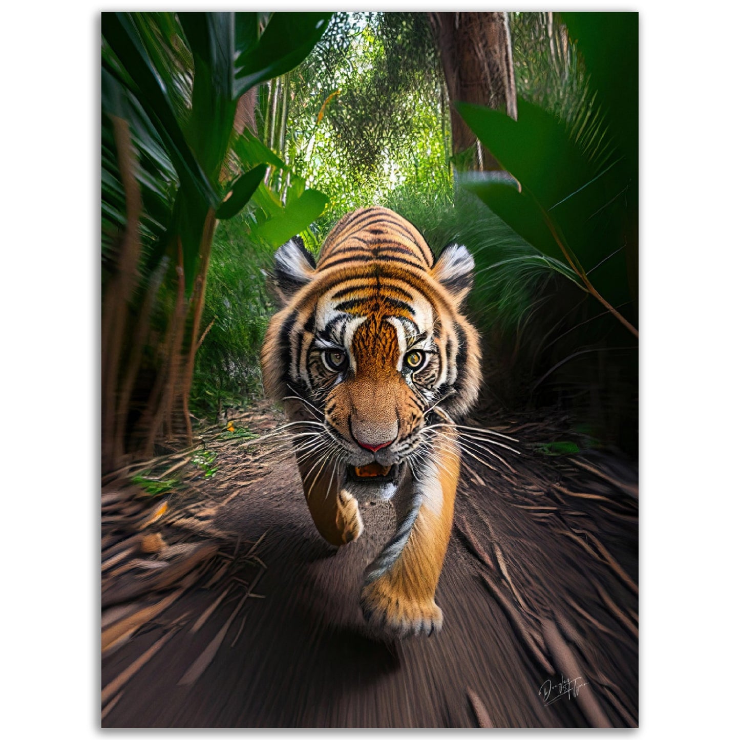 »Jungle Lens«