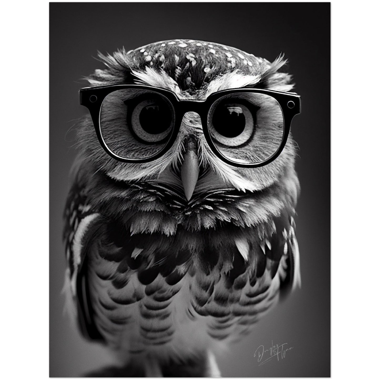 »Professor Hoots« retro poster