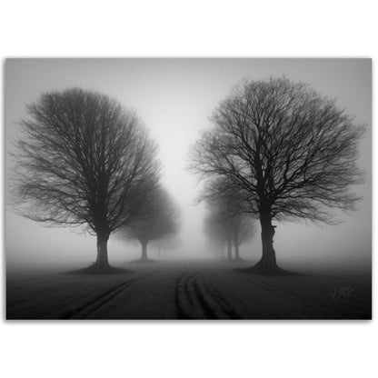 »Melody of Time« landskapsposter