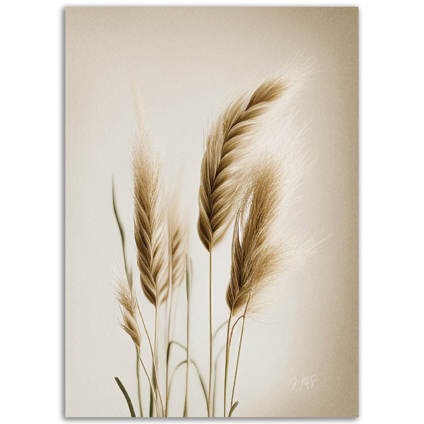»Grass« designposter