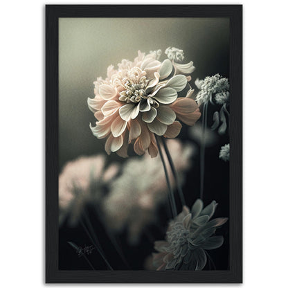 »Soft Petals« designposter